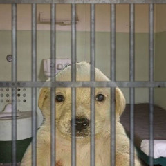 real เปรี้ยว