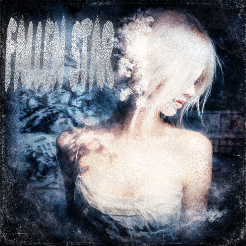 FALLEN STAR
