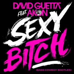 DAVID GUETTA FT AKON - SEXY BITCH (BASS COWBOY BOOTLEG) **FREE DOWNLOAD