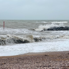 She Was No Longer Afraid