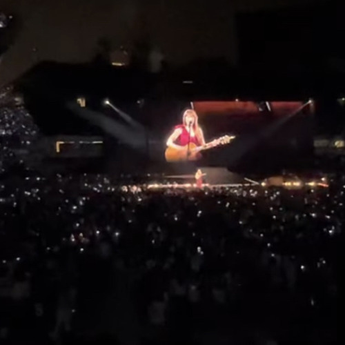 I Wish You Would Eras Tour