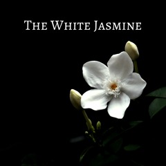 The White Jasmine