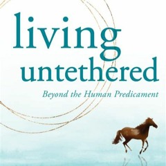 (Download Now) BOOKS Living Untethered: Beyond the Human Predicament by Michael A. Singer