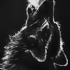 “LOST“ prod.youngkimj