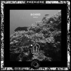 PREMIERE:  Bichord - Zodiac [WDM06]