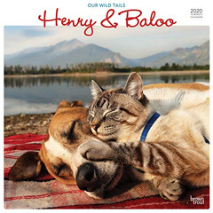 free PDF 🖊️ Henry & Baloo - Our Wild Tails 2020 12 x 12 Inch Monthly Square Wall Cal