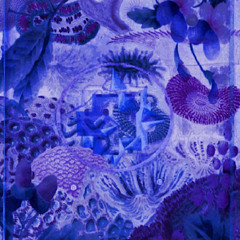 Cameron Ginex - On The Rooftop