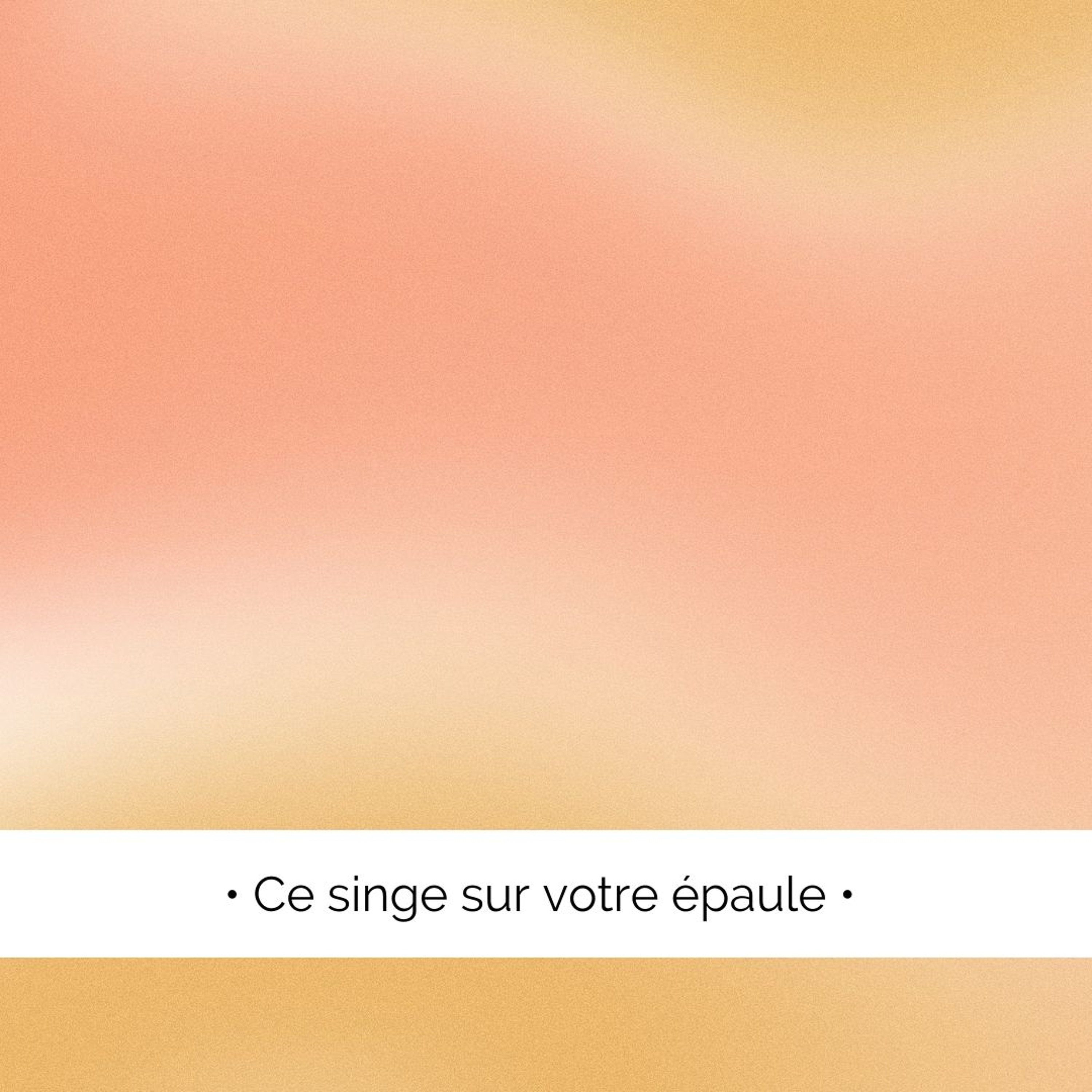 ✨ Ce singe sur votre épaule...