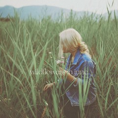Wildflowers In June MASTER
