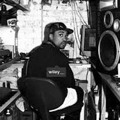 Wiley - Birds n Bars