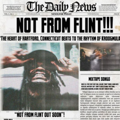 FLINT FLOW - kroog mula