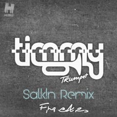 Timmy Trumpet - Freaks (Salkin Remix)