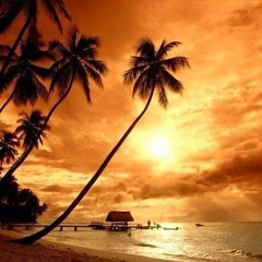 Pacific Reggae Music