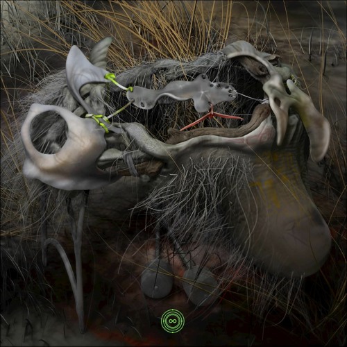 Premiere: Bungalovv - Entre Chatarra [Infinite Machine]