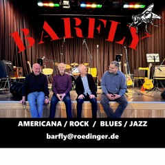 Barfly Demo2024