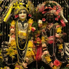 SB Class 1.8.19 Alachua, Florida 8/7/20