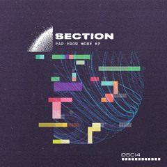 Section X Wreckless 'Seraph' [DSCI4]