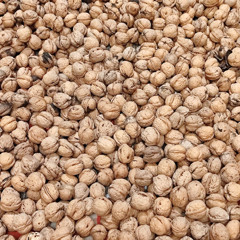 թըխկ չըխկ՝ համ