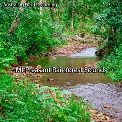 Mt Pleasant/North Pine River Rainforest (field recording)