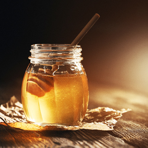 "Lessons from the Hive" - J. Davy Crockett III