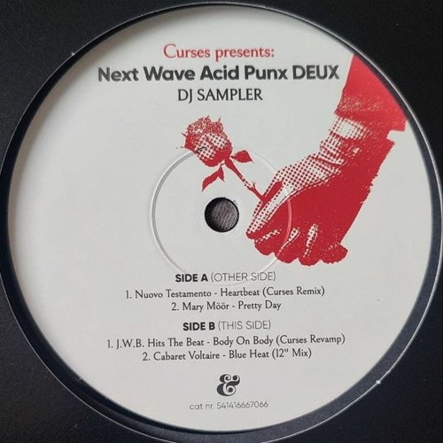 Next Wave Acid Punx DEUX