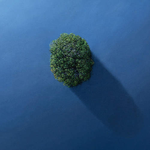Fernando Guarello - Self Projection