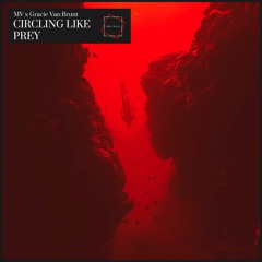 MV x Grace Van Brunt - Circling Like Prey