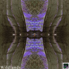 Arvil - Wildlands (Nosebag Media Release)