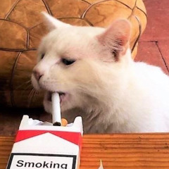 เธอไม่ตอบเพราะไก่ที่หมดจานก็คือการที่หมดใจ - Lil v x Lil Z4k