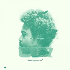 Paraiso (Interlude)