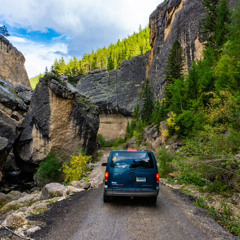 Guide - Big Horn National Forest