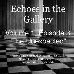 Echoes in the Gallery Episode 3 The Unexpected (1)
