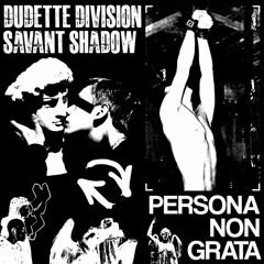 savant shadow - imperfect