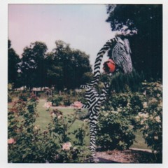 How Could I Be So Cold?