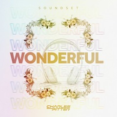 WONDERFUL (Dj Charles Pitter)