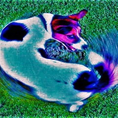 BURNIN' DOWN THE SUN..  gotta get ur utopia done..