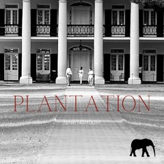 Plantation (Blackman)