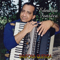 Mestre Lula Moreno no Forró (Instrumental)