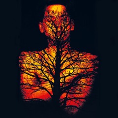 'Reg's Cocktail Lounge' (Attic sessions) 1988