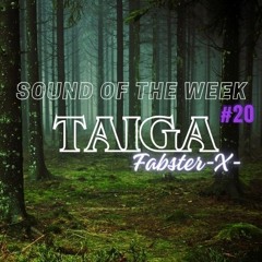 Sound Of The Week - 20 - TAIGA