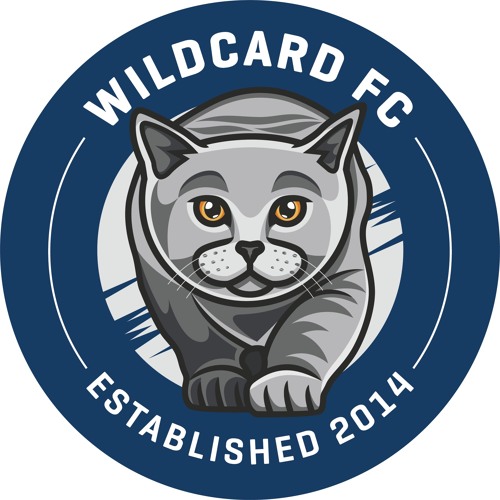 Stream episode GW11 - Viking Vara by Wildcard FC podcast | Listen online  for free on SoundCloud