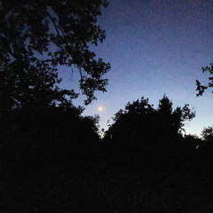 Demo 1 (synthpop/dance)