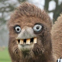 Ich