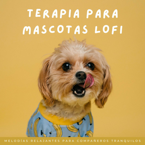 Serenata Tranquila Para Patas