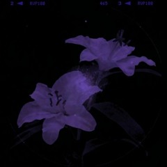 Mineve, crybaby - You And The Ocean (Jersey Club)