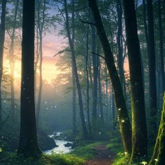Twilight Serenade