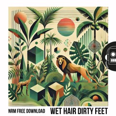 Mayen- Wet Hair Dirty Feet (Free Download with Stems)