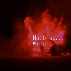 Halb so Wild