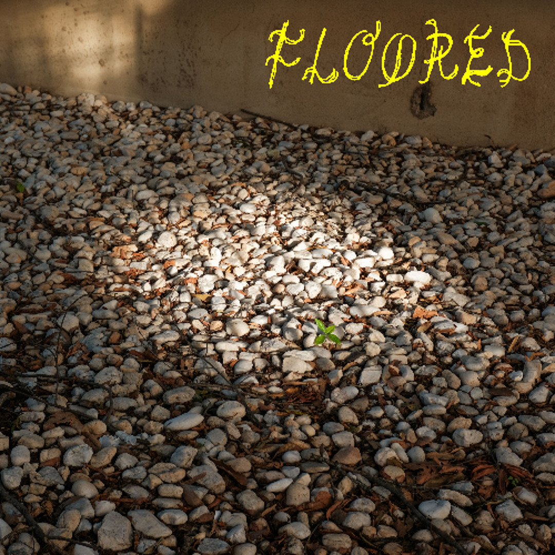 Stream Lost a Bet by Floored Listen online for free on SoundCloud