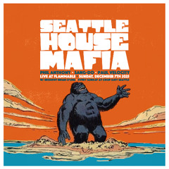 Seattle House Mafia  LIVE at Flammable! Recorded 12-7-2025